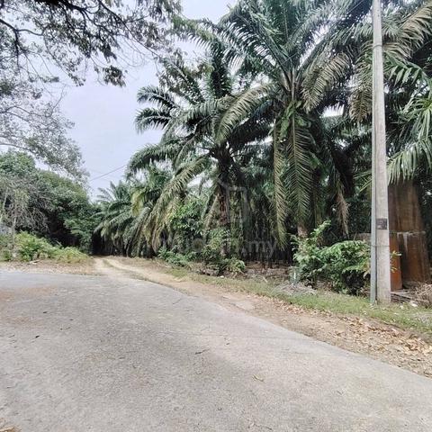 6 Acres Agriculture Zoning Industrial Land Sungai Tiram, Johor 1