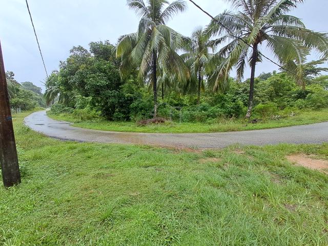 Tanah Tanjung Medang, Pekan, Pahang 1