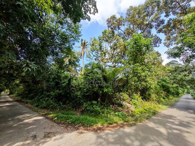 Tanah Pertanian Beserah Kebun Buah, Kuantan Untuk Dijual 1