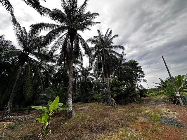 Tanah 5 Ekar Untuk Dijual - Mukim Sepang,Selangor 1