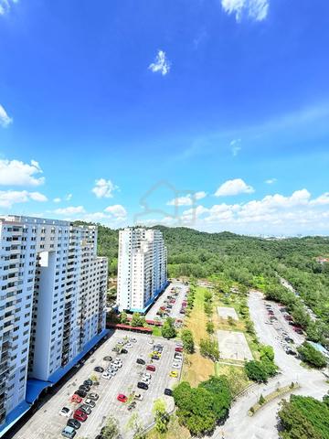 Desaminium Rimba 1