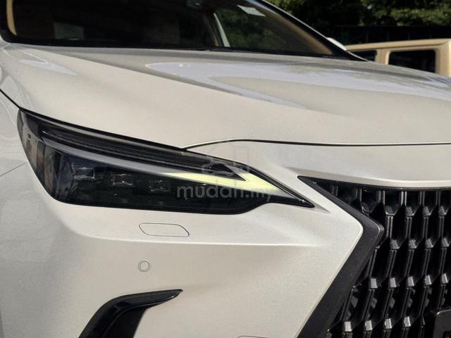 2023 Lexus NX250 2.5 LUXURY (A) - 5