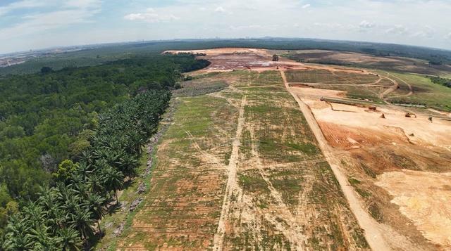 Tanjung Langsat Industrial Land for Sale 1