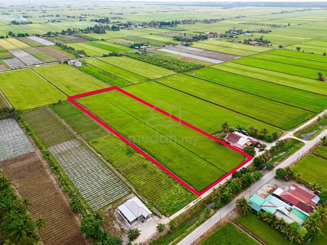 Tanah Pertanian SAWAH PADI Sekinchan 3 Ekar 1 Geran 2