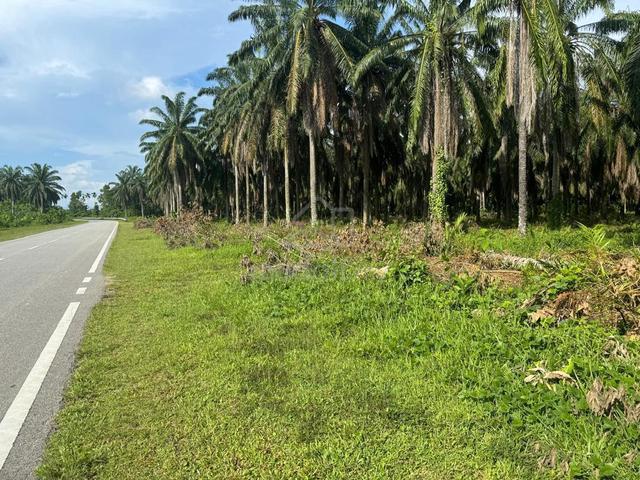 Tanah tepi jalan besar untuk dijual (Bawah harga pasaran) 1