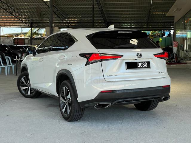 2020 Lexus NX300 2.0 LEXUS SAFETY PLUS SYSTEM - 2