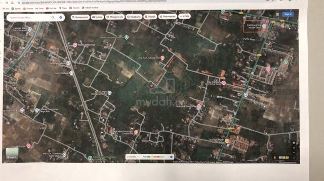 Kebun Getah di Hutan Lembah 5
