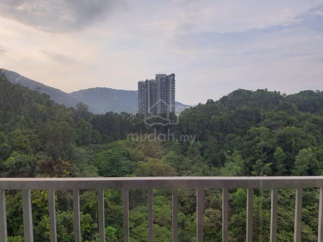 Tri Pinnacle 1