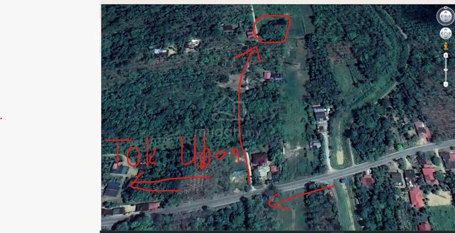Tanah Tok Uban dijual 1