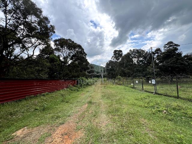 Multiple Agriculture Purpose Land (1 Acre) with Reserve Road for Sale 4