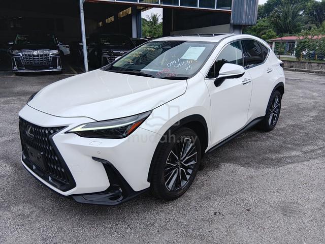 2023 Lexus NX250 2.5 LUXURY (A) - 3