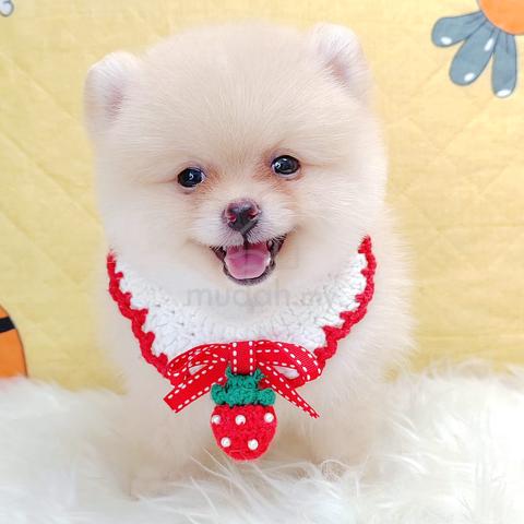 Carousel Image Selected