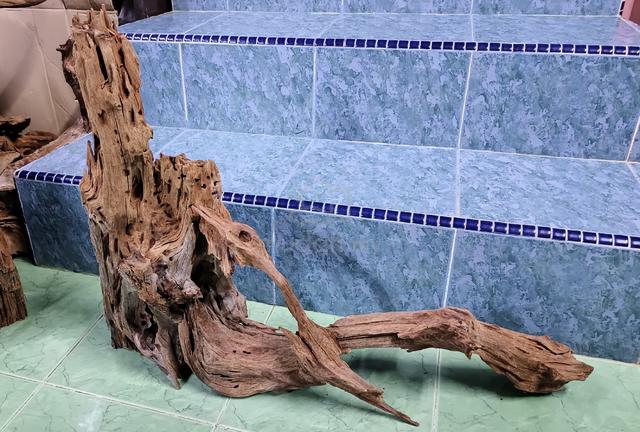Driftwood - kayu hiasan Aquarium - photo 3 of 3