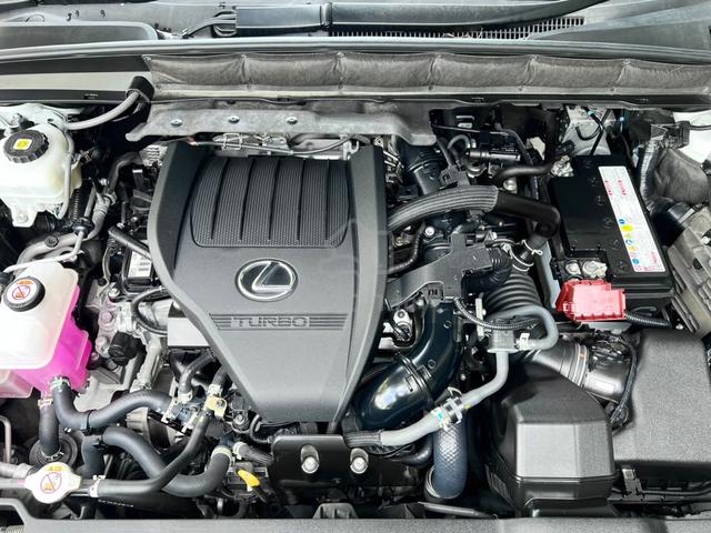 2023 Lexus RX350 2.4 F SPORT (A) - GRADE 5A - 4