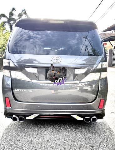 2012 REGISTER Toyota VELLFIRE 2.4 Z (A) - 4