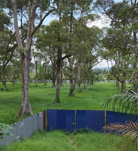 5.9 Acres Agriculture Zoning Residential Land Pekan Nanas, Johor 1