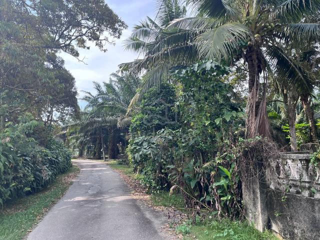 [FREEHOLD] [Road Side] Ayer Molek Tiang Dua Agriculture Oil Palm Land 1