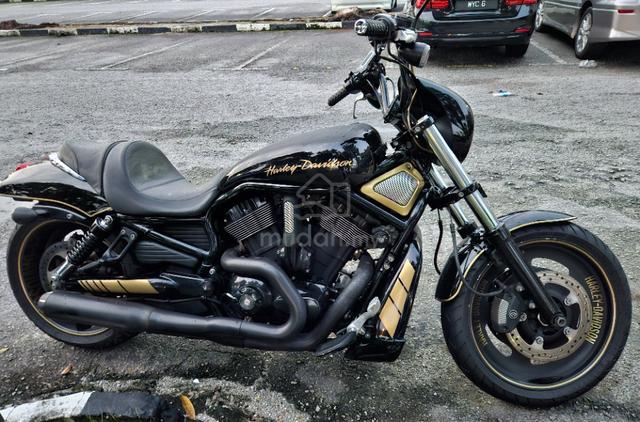 harley night rod for sale