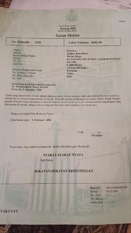 Tanah padi untuk dijual  1