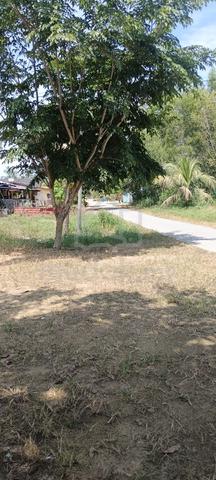 tanah lot cmol nk jual dkt jln bsr  Kandis ke tok bli 1