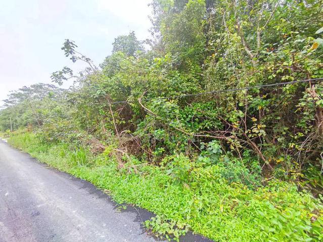 *TANAH LOT BANGUNAN UNTUK DIJUAL* Belakang Taman Guru. 1