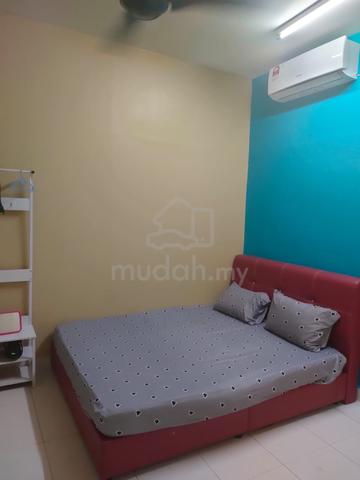 Desaru Utama Jalan Surian Single Storey 3bedroom Fully Furnished 4