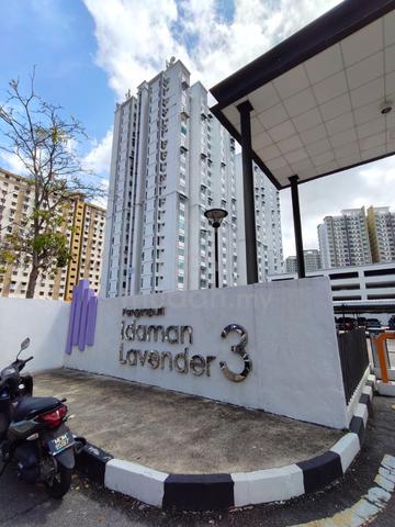 Idaman Lavender 3 1
