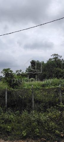 tanah kampung Desa Purun 1