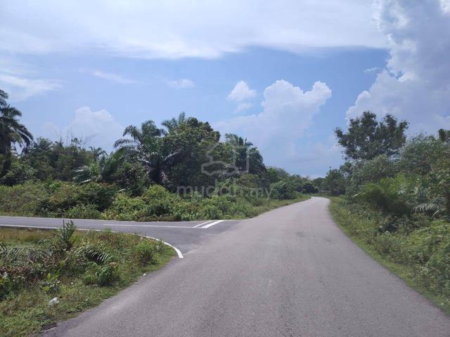 3 Acres Agriculture Land Sedili, Kota Tinggi, Johor 1