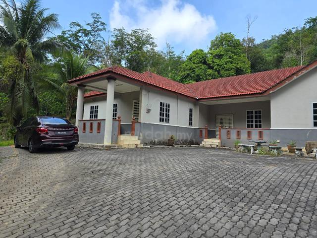 Tanah Dusun 1.22 Hektar + Rumah Banglo - Kg Empa, Derang, Kedah 1