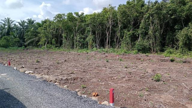 Lot Tanah Status Bangunan Rizab Melayu 5