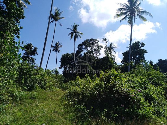 Tanah cantik tepi Sungai Marang 1