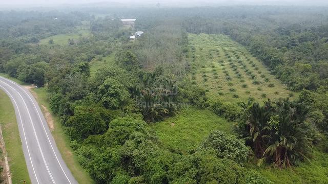 Tanah Pertanian Rapat Jalan Besar Di Kampung Bukit Kukus, Kuala Ketil 1