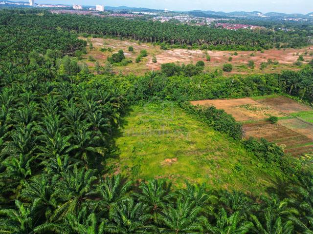 Tanah Freehold 🔥Cantik Dan Rata🔥1.18 Ekar🔥Labu Hilir/Kota Seriemas 1