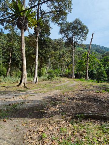 Balik Pulau 19k S/F nice flat land for sales , next to car access road 1