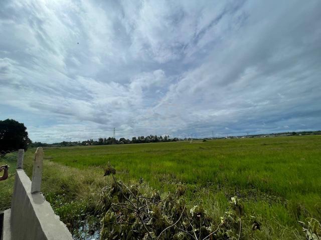 Tanah Zoning Perumahan Sungai Petani Geran Individu For Sale 4