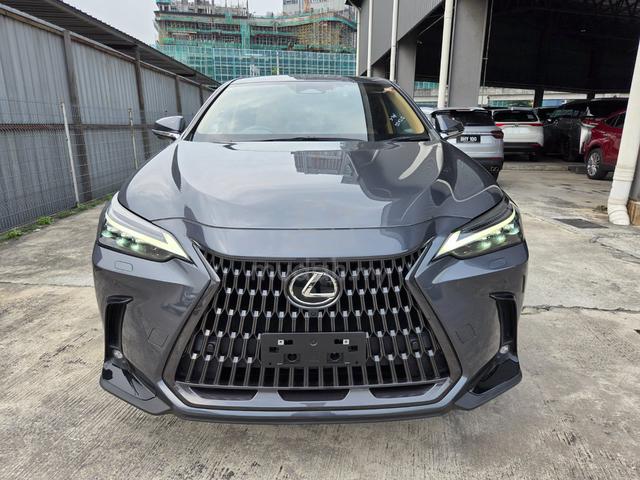 GREY 2022 Lexus NX250 2.5 LUXURY Selling Fast now - 3