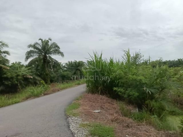 TANAH 3 EKAR HARGA TERENDAH di Kg tengah Sabak Bernam Selangor 3