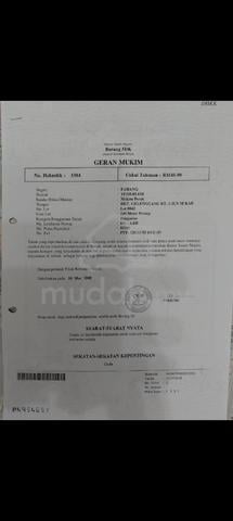 land for sale(lot teres) 1