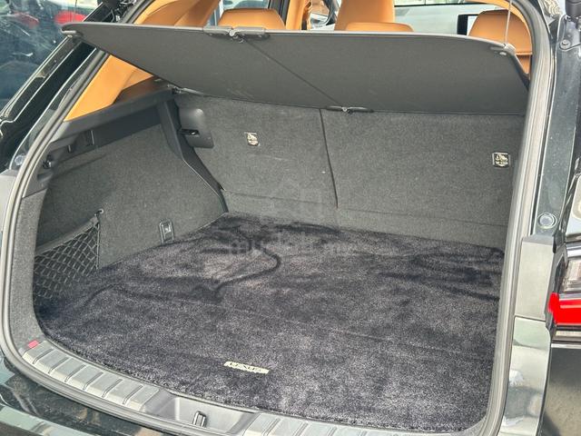 2023 Lexus NX250 2.5 LUXURY (A) MARK LEVINSON - 5