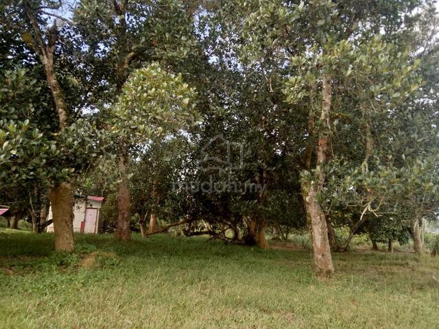 Tanah Untuk Dijual 1