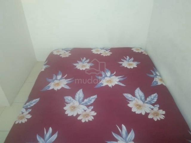 Bilik sewa rumah teres jalan sentul dato senu 1