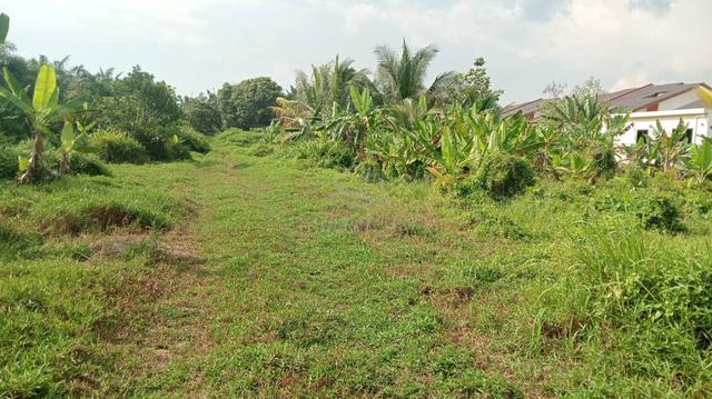Tanah Freehold Rizab Melayu Jeram Selangor 1