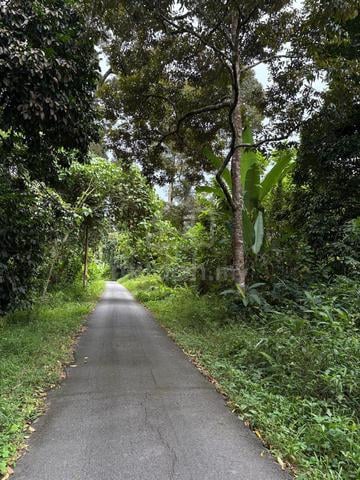2.9 ekar Dusun Durian boleh loan Kuala Kangsar Perak 1