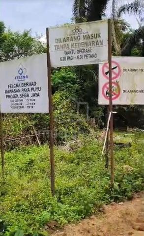 Tanah Pertanian 5.26 Ekar Untuk Dijual (Mukim Bera,Pahang) RM400k Nego 1