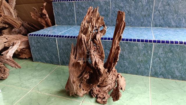 driftwood terrarium paludarium aquascape - photo 3 of 4