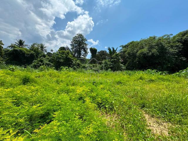 Tanah Pertanian 0.59 ekar, Kampung Berala, Kuala Kangsar, Perak 1