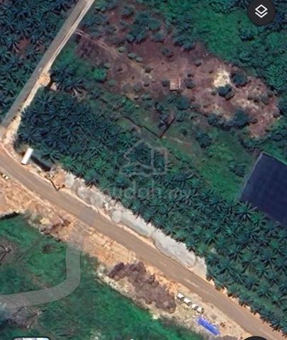 Land for SALE - Klang, Mukim Tanjung 12 ( Serious buyers ONLY ! ) 1