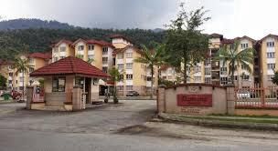 Damiana Apartment 1