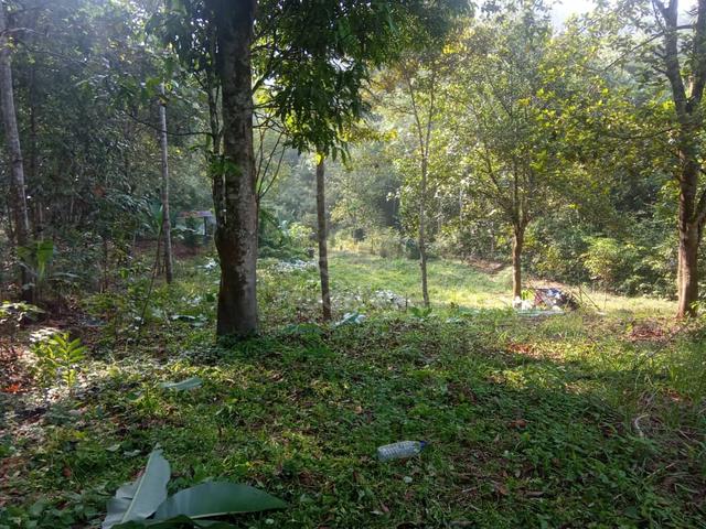 Tanah Batu 14 Hulu Langat 1